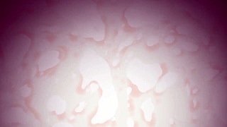 anime compilation of dreaming maiden esp