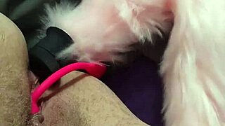 chubby fox takes double penetration in solo play