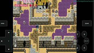 Brave Princess Milia Ruined by Faulty Emulation Glitch Error