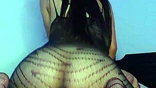 gordita morena se deja follar sin condon