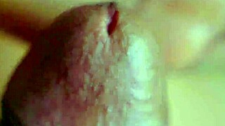 private desi couple rubs cock on shaved pussy in close up