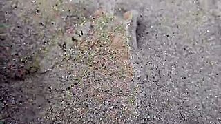 Feet In Sand Barefoot Modeling Session