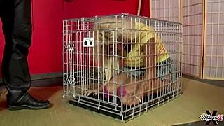 maxine x gotta suck scott rhodes dick to get out of the cage