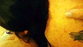 Savannah sucking my cock