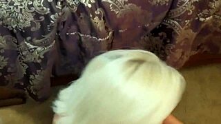 anal with an ass to mouth slut