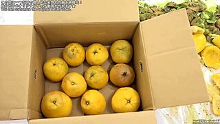 food crush fetish fun 😋