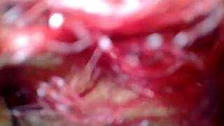 i give blowjob in the park