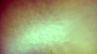 Exploring shaved and hairless pussy videos on xvidos