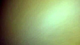 Exploring shaved and hairless pussy videos on xvidos