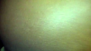 Exploring shaved and hairless pussy videos on xvidos