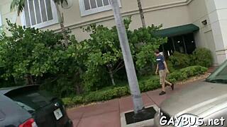 homosexual tumblr encounters