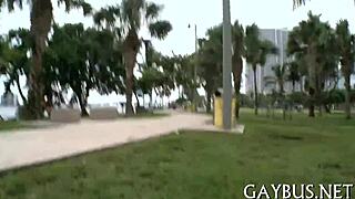 Males Engaging In Intense Homosexual Encounters