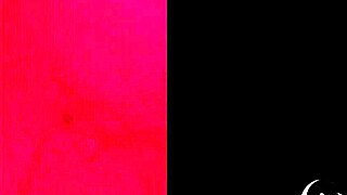 Is your wife teasing the bull with her big ebony tits?