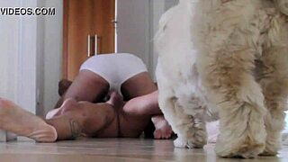 hey, andremedeiros martins is here for some gay fun 😊