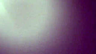 Daniel And Mandy's Amateur Adventures