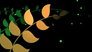 i love britneybank pantyhose