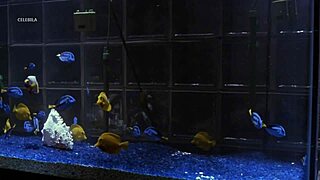 Patricia Charbonneau topless in retro masturbation scene!