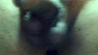 i got a huge cock on webcam for masturbation