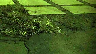 check out this extreme bdsm compilation unless you're from the sixties?