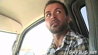 cute young men explore playful adventures together.