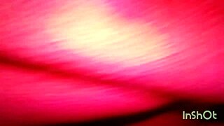 Creampie Birthday Gift