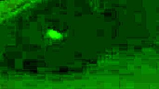 rich encounter with cunning cougar maxim law