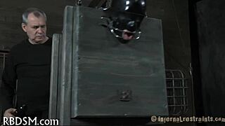 check out this mysterious number 005 scene