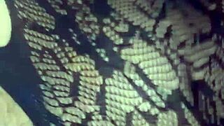 pussy jacking off only