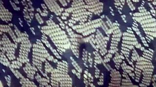 pussy jacking off only