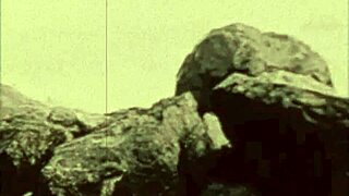 Moorish harem orgy pleasures