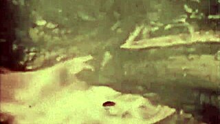 Moorish harem orgy pleasures