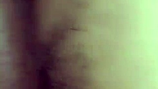 Indian Couple's Honeymoon Adventures