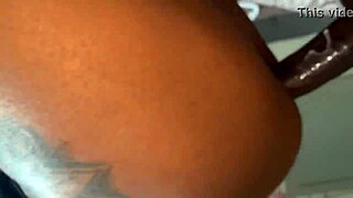 Big Black Cock Pounds Step-Sister's Wet Pussy Before Dinner