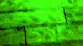 Sofi Ryan, Stepmommy, Gets Comfort from Stepson's Monster Cock!