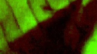 Vid 20170316 233435 With Bisexual Twist
