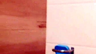 Discovering a charming hotel in Lince for a relaxing stay