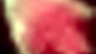 Detailed Walkthrough Of Honeysun Hgame Featuring Creampie, Big Tits, Blowjob, Handjob, And Deepthroat In Anime Hentai