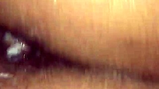 cocospice party vibes with outdoor fun and close-ups