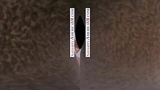 Naughty America VR: Kenna James & Veronica Weston Fuck Two Chicks.