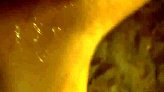 The Seeker Adventure