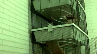 Horny piss play on my sofa