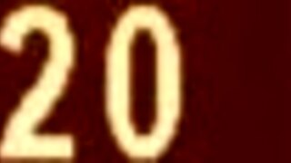 These homemade prostitutes are ready for some fun.