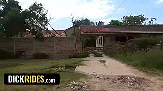 If You Let Me Ride Your Car, Ride My Dick Too!