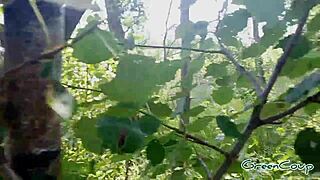 Quick Blow Job Hits Hard in Woods Behind Parking Lot.