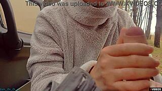 Highway Milf Whore Gives POV Blowjob with Face Cumshot