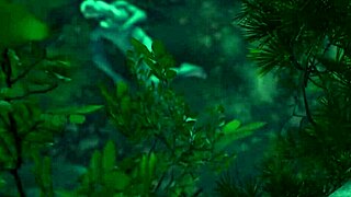 Baldur's Gate 3 Naked Playthrough Featuring Astarion's Gay Sex Scenes Without Mods