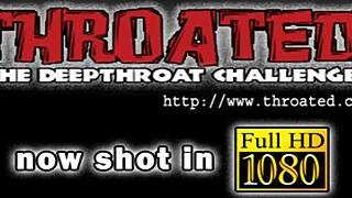 Cock sucking doxies craving more blowjobs