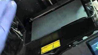 Lonely Pillow in Hentai World Where Characters Seek Companionship Through Intense Sexual Adventures