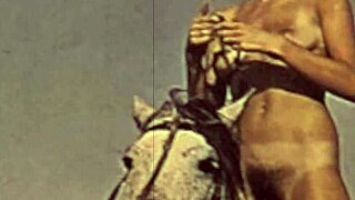 dark lantern entertainment unveils beauty and beast retro charm