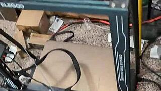 Lonely Pillow in Hentai World Where Characters Seek Companionship Through Intense Sexual Adventures